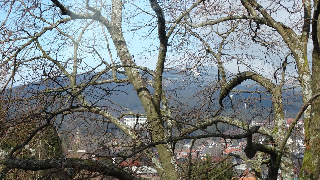 Апартаменты Bergziege Браунлаге Экстерьер фото